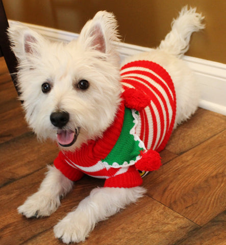 Pup Elf Sweater