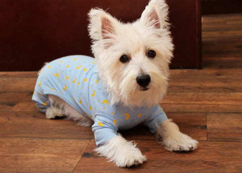 Sweet Dreams Doggie Pajamas